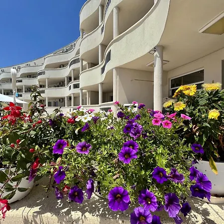 сънбрийз - Sunbreeze * 비알라